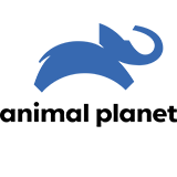 Logotyp: Animal Planet HD