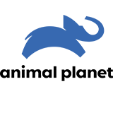 Channel Image