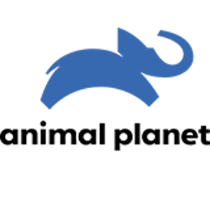 Logotyp: Animal Planet HD